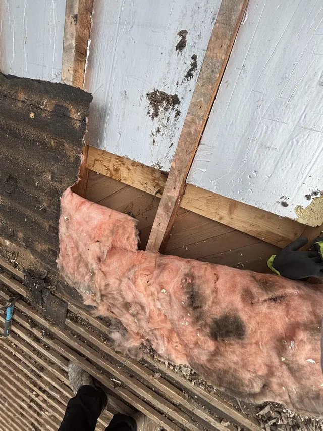 An opened roof reveals pink insulation, timber framing and white panels beneath old battens.