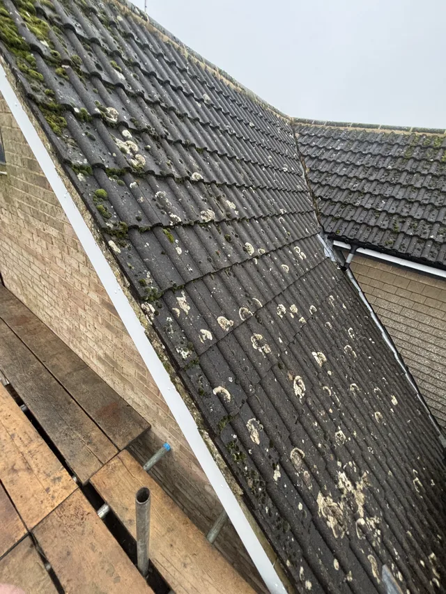 Patches of moss and pale lichen cover interlocking tiles above a scaffold platform.